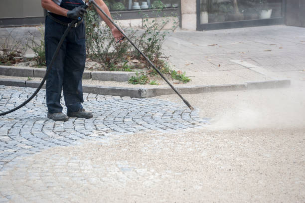 Pre-Holiday Cleaning in East Whittier, CA